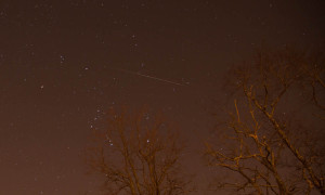 Geminid Photo from Bristol, RI by Fred Campagna